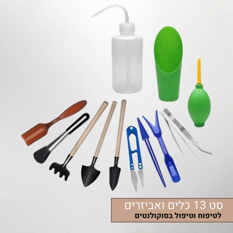 סט 13 כלים ואביזרים מיוחדים לטיפוח וטיפול איכותי בסוקולנטים