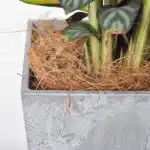 סיבי קוקוס אורגני (3) סיבי קוקוס אורגני (3)