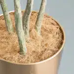 סיבי קוקוס אורגני (4) סיבי קוקוס אורגני (4)