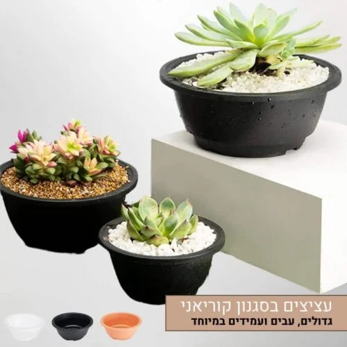 עציצי סוקולנטים עגולים פלסטיק בסגנון קוריאני, גדולים ועבים, בטקסטורה מיוחדת, עמידים וידידותיים לסביבה עציצי סוקולנטים עגולים פלסטיק בסגנון קוריאני, גדולים ועבים, בטקסטורה מיוחדת, עמידים וידידותיים לסביבה