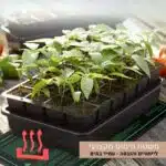 תחתית משטח חימום לייחורים והנבטה מקצועי לריבוי צמחים – עמיד במים תחתית משטח חימום לייחורים והנבטה מקצועי לריבוי צמחים - עמיד במים