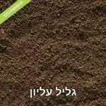 תערובת אדמת טרריום נדבקת לזכוכית אדמת יער משובחת - קרקע יער טבעית מהגליל העליון ורמת הגולן