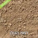 תערובת אדמת טרריום נדבקת לזכוכית (2) אדמת יער משובחת - קרקע יער טבעית מהגליל העליון ורמת הגולן