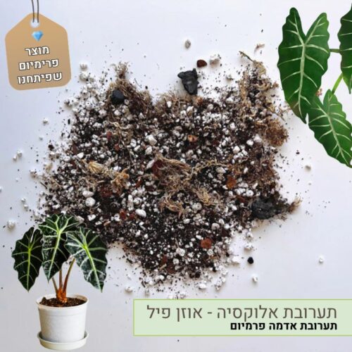 תערובת אלוקסיה - אוזן פיל תערובת אלוקסיה - אוזן פיל