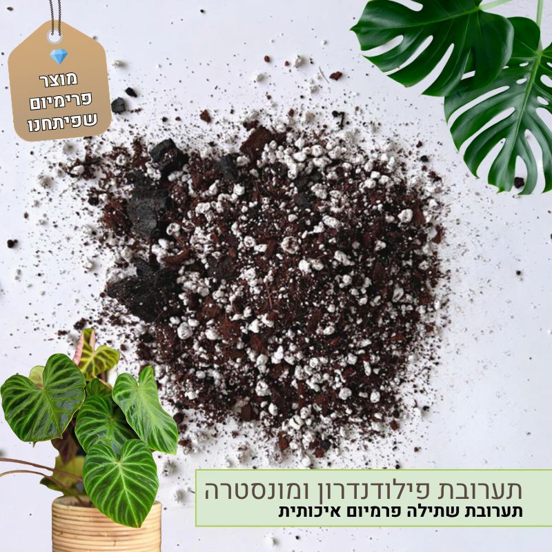 תערובת פילודנדרון ומונסטרה תערובת פילודנדרון ומונסטרה