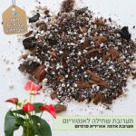 תערובת שתילה לאנטוריום תערובת שתילה לאנטוריום