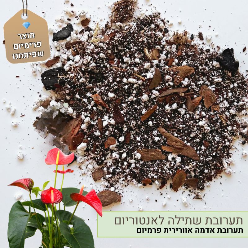 תערובת שתילה לאנטוריום תערובת שתילה לאנטוריום
