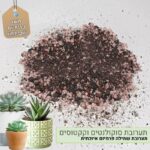 תערובת שתילה לסוקולנטים וקקטוסים תערובת שתילה לסוקולנטים וקקטוסים