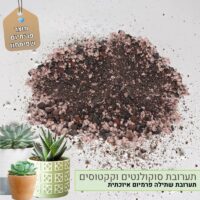 תערובת שתילה לסוקולנטים וקקטוסים