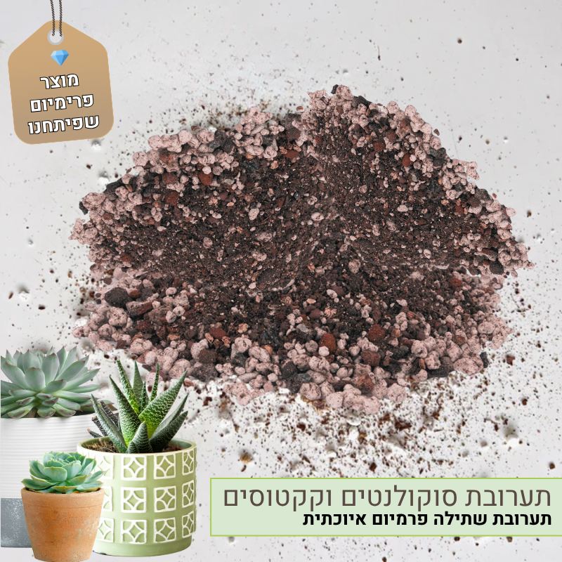 תערובת שתילה לסוקולנטים וקקטוסים
