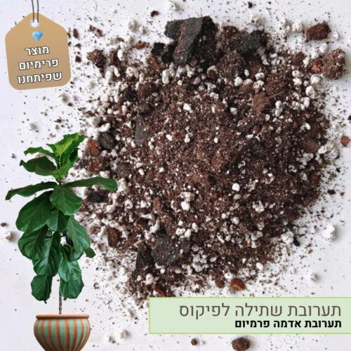 תערובת שתילה לפיקוס תערובת שתילה לפיקוס