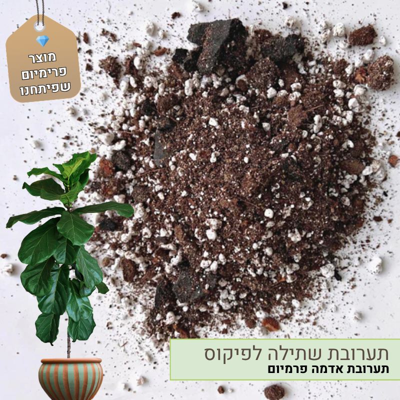 תערובת שתילה לפיקוס תערובת שתילה לפיקוס
