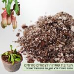 תערובת שתילה מקצועית לצמחים טורפים תערובת שתילה מקצועית לצמחים טורפים