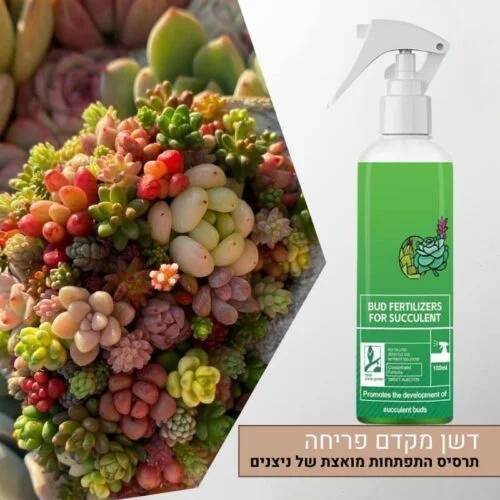 תרסיס דשן המקדם התפתחות של ניצנים ופריחה מואצת לסוקולנטים 300 מ”ל תרסיס דשן המקדם התפתחות של ניצנים ופריחה מואצת לסוקולנטים 300 מ”ל