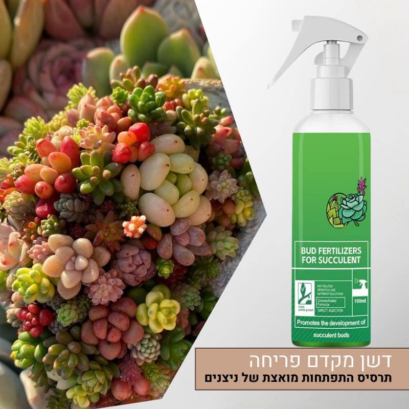 תרסיס דשן המקדם התפתחות של ניצנים ופריחה מואצת לסוקולנטים 300 מ”ל תרסיס דשן המקדם התפתחות של ניצנים ופריחה מואצת לסוקולנטים 300 מ”ל