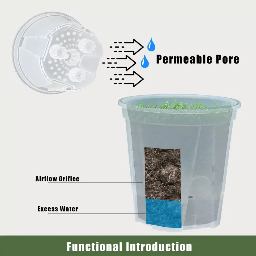 Premium-Clear-Desktop-Resin-Flower-Pot-Transparent-Nurturing-Your-Green-Plants-Suitable-for-Placing-Orchids-1-1.jpg עציצים חכמים שקופים עם השקיה תחתית