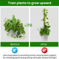 kf-S0a33da95a5d948869b65d9fd065fa6afu-30cm-40cm-50cm-Moss-Totem-Pole-Moss-Pole-for-Plants-Monstera-2-Pcs-Moss-Pole-for מוטות תמיכה יציבים מסיבי קוקוס - עמודי קוקוס ישרים המספקים תמיכה לצמחים מטפסים