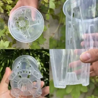 kf-S0f457a493015431c99a37feb6e73dbefx-10cm-5Pcs-Transparent-Flower-Pot-Potted-Phalaenopsis-Orchid-Green-Plant-Plastic-Seedling-Pot-Orchid-Pot-Gardening.webp 5 יח' עציצים שקופים גדולים ואיכותיים לגידול סחלבים, אורכידאות וצמחים טרופיים הדורשים אוורור
