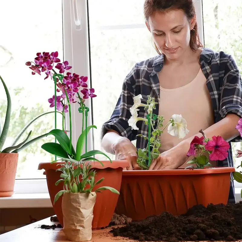 kf-S2ff1697a94164da5b358ed4260e2b035N-10Pcs-Plant-Supports-Stakes-Reusable-Flower-Vegetable-Holder-Sticks-Floral-Plants-Stand-for-Indoor-Outdoor-Garden סט 10 יתדות תמיכה לצמחים המעודדים צמיחה ישרה ונותנים תמיכה לגבעולי הצמח רב-שימושיים
