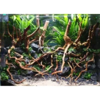 kf-S51f07ee5697445839043ac7d0cc0668ek-Creative-Micro-landscape-Rattan-Driftwood-Tree-Root-DIY-Aquarium-Fish-Tank-Decoration-Accessories.webp שורשי עץ סחף טבעיים מעץ הראטן לעיצוב טרריום ואקווריום - ענפים מעוצבים ובטוחים עמידים בלחות