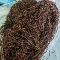 kf-S6340ce56440a429591c2efe80b2db3c3u שורשי עץ טבעיים לגידול צמחייה או לעיצוב דקורטיבי בטרריום 500 גרם