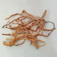 kf-S694e749ae0b74f9f804277bdb9823abcB-Creative-Micro-landscape-Rattan-Driftwood-Tree-Root-DIY-Aquarium-Fish-Tank-Decoration-Accessories.webp שורשי עץ סחף טבעיים מעץ הראטן לעיצוב טרריום ואקווריום - ענפים מעוצבים ובטוחים עמידים בלחות