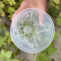 kf-S787c938aa9ec433f954e098420fc17b1D-10cm-5Pcs-Transparent-Flower-Pot-Potted-Phalaenopsis-Orchid-Green-Plant-Plastic-Seedling-Pot-Orchid-Pot-Gardening.webp 5 יח' עציצים שקופים גדולים ואיכותיים לגידול סחלבים, אורכידאות וצמחים טרופיים הדורשים אוורור
