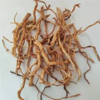 kf-S910a5c55e8114eb1b62a129a343e2f04w-Creative-Micro-landscape-Rattan-Driftwood-Tree-Root-DIY-Aquarium-Fish-Tank-Decoration-Accessories.webp שורשי עץ סחף טבעיים מעץ הראטן לעיצוב טרריום ואקווריום - ענפים מעוצבים ובטוחים עמידים בלחות