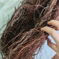 kf-Sf52732afb31a423ab27dcd8748196455N-natural-wood-aquarium-acuario-aquarium-tree-root-branch-fish-tank-tree-trunk-Ecological-rainforest-landscape-branches שורשי עץ טבעיים לגידול צמחייה או לעיצוב דקורטיבי בטרריום 500 גרם