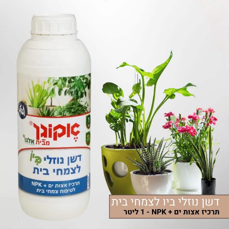 דשן נוזלי ביו לצמחי בית - תרכיז אצות ים + NPK