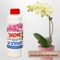 דשן סחלבים איכותי אקוגן דשן סחלבים איכותי אקוגן