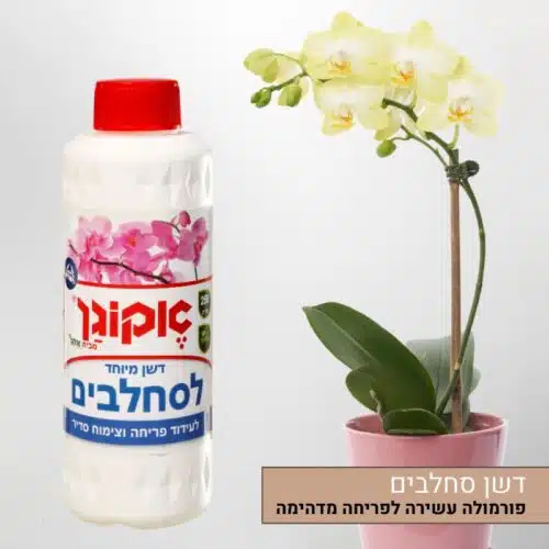 דשן סחלבים איכותי אקוגן דשן סחלבים איכותי אקוגן