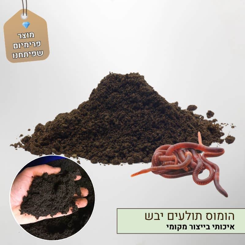 הומוס תולעים