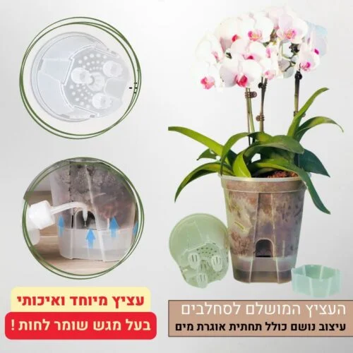 העציץ המושלם לסחלבים העציץ המושלם לסחלבים