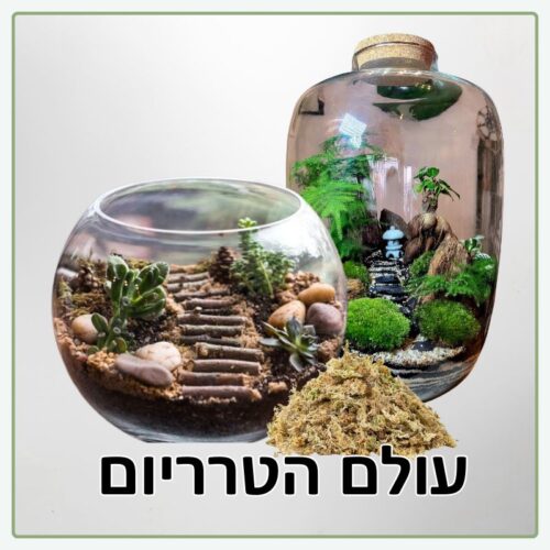 עולם הטרריום – אביזרים, מרכיבים ותערובות