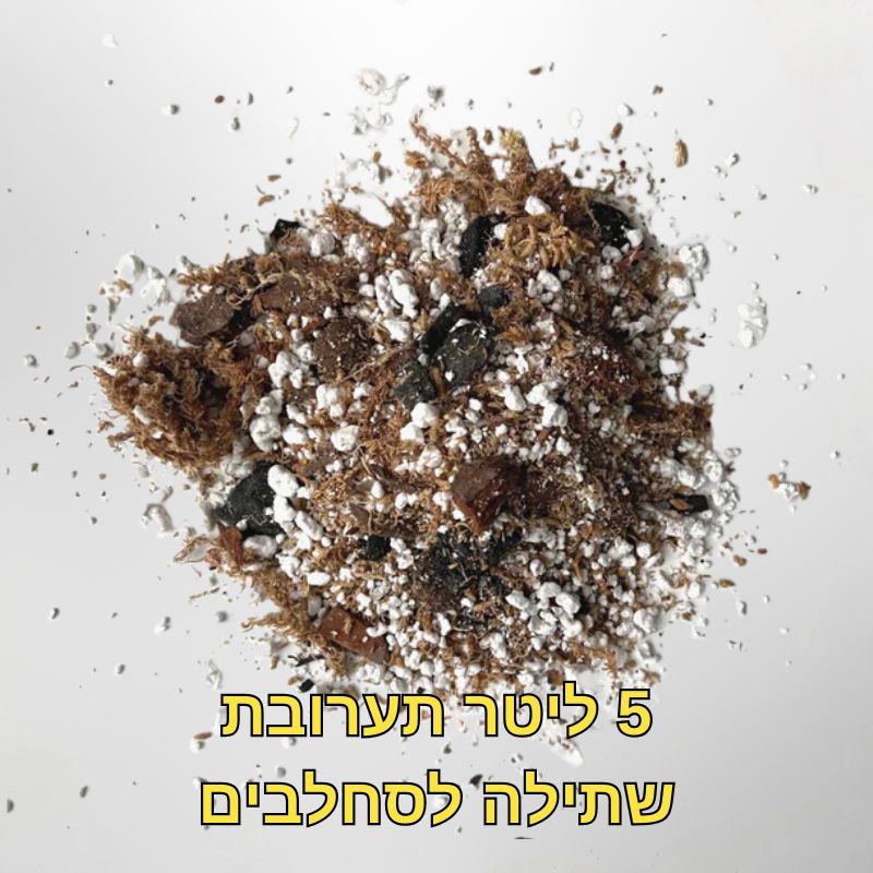 קיט הקסם לסחלבים - מצע שתילה מיוחד לסחלבים קיט הקסם לסחלבים - מצע שתילה מיוחד לסחלבים