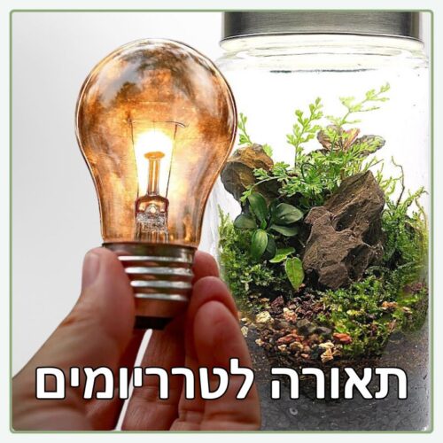 תאורה לטרריומים