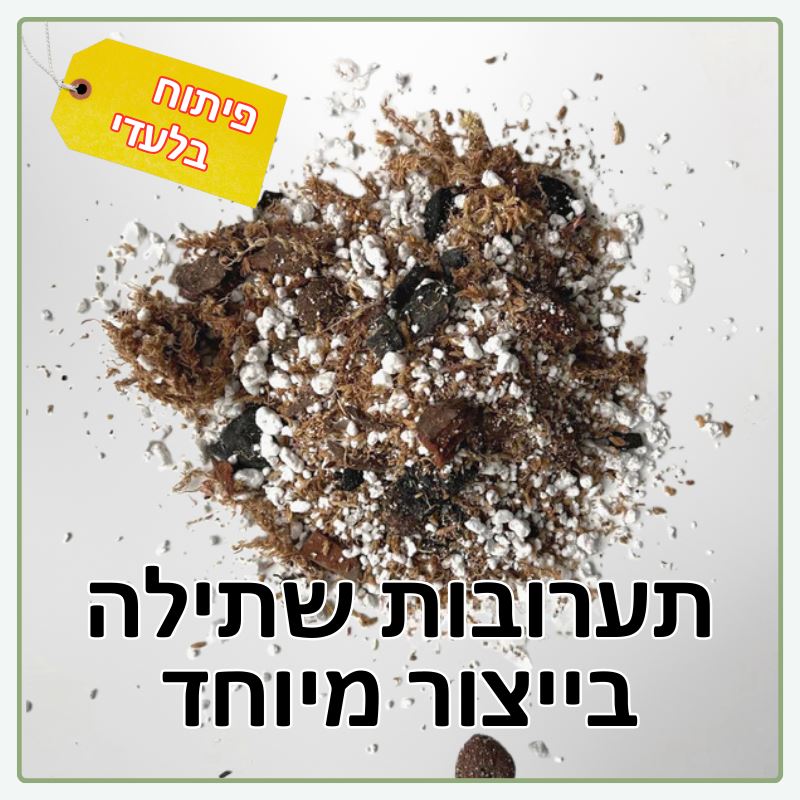 תערובות שתילה בייצור מיוחד ופיתוח בלעדי