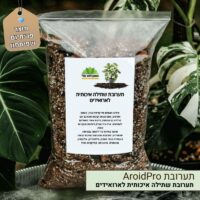 תערובת שתילה איכותית לארואידים תערובת שתילה איכותית לארואידים