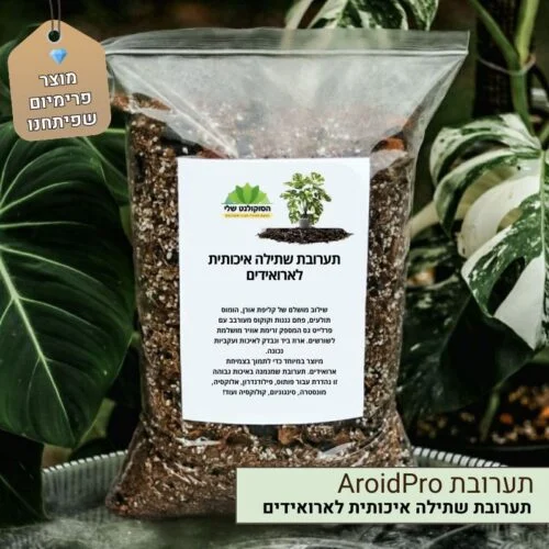 תערובת שתילה איכותית לארואידים תערובת שתילה איכותית לארואידים