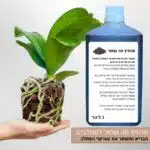 תרחיץ תה שחור לסחלבים מתקן שורשים פגומים תרחיץ תה שחור לסחלבים מתקן שורשים פגומים