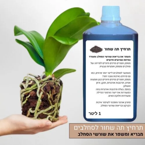 תרחיץ תה שחור לסחלבים מתקן שורשים פגומים תרחיץ תה שחור לסחלבים מתקן שורשים פגומים