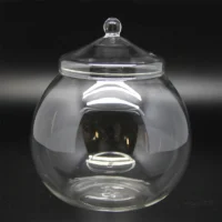 kf-S069888c81847421faa203876e5d6bb24w-Micro-Landscape-Moss-Bryophyte-Ball-Shape-Glass-Vase-With-Lid-Fresh-Green-Moss-Bottle-Glass-Terrarium כלי זכוכית צנצנת טרריום - זכוכית מבריקה בעיצוב בלון