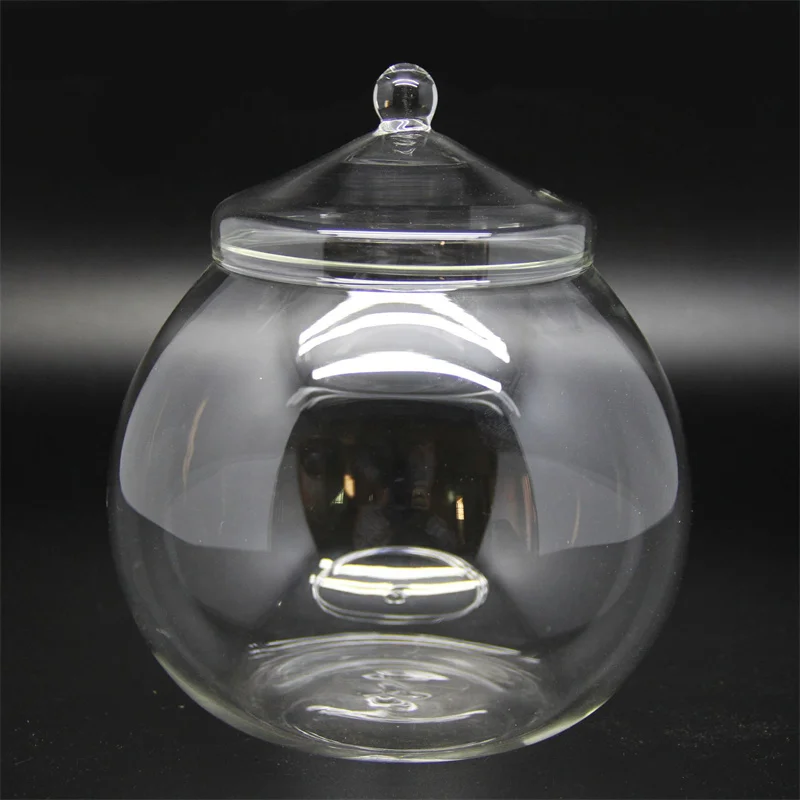 kf-S069888c81847421faa203876e5d6bb24w-Micro-Landscape-Moss-Bryophyte-Ball-Shape-Glass-Vase-With-Lid-Fresh-Green-Moss-Bottle-Glass-Terrarium כלי זכוכית צנצנת טרריום - זכוכית מבריקה בעיצוב בלון