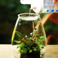 kf-S089d94484edc41458910c60ecefd4beaI-Micro-Landscape-Glass-Bottles-With-Cover-Fresh-Green-Succulent-Moss-Bottle-Glass-Vase-Glass-Terrarium-Bonsai כלי זכוכית צנצנת טרריום זכוכית בעיצוב ללין