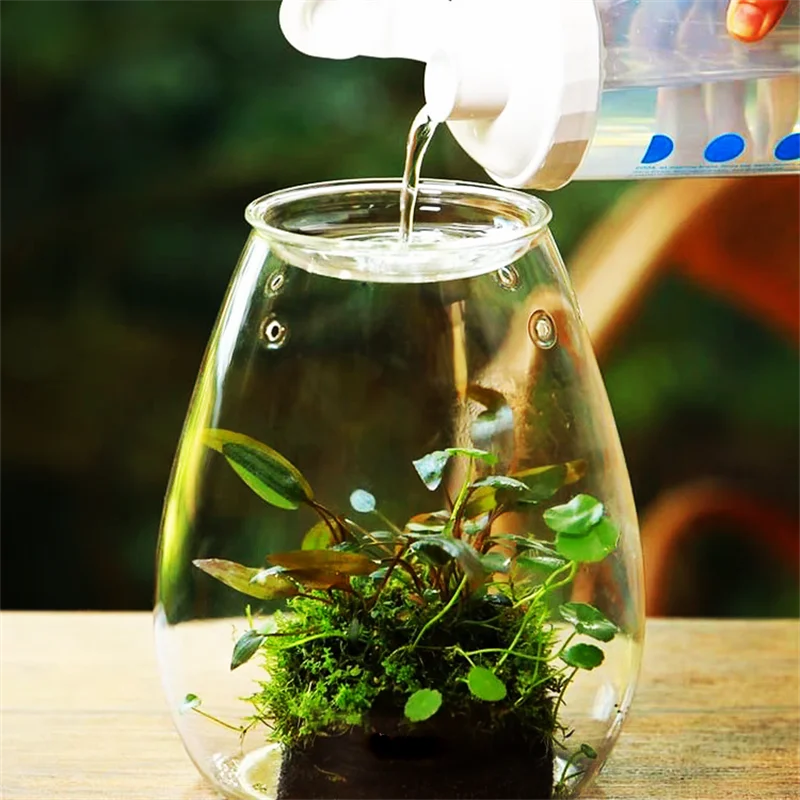 kf-S089d94484edc41458910c60ecefd4beaI-Micro-Landscape-Glass-Bottles-With-Cover-Fresh-Green-Succulent-Moss-Bottle-Glass-Vase-Glass-Terrarium-Bonsai כלי זכוכית צנצנת טרריום זכוכית בעיצוב ללין