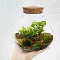 kf-S208f3bf99c50440791bcbac7d330344ex-Micro-Landscape-Ecological-Bottle-Microlandscape-Plants-Light-Bulbs-Home-Empty-Glass-Moss-Planter-Terrarium כלי זכוכית צנצנת טרריום זכוכית בעיצוב נורה