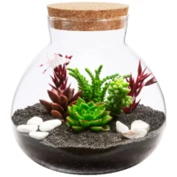 kf-S3dcc79aa06d148a9b37fa9993af0dc474-Micro-Landscape-Ecological-Bottle-Microlandscape-Plants-Light-Bulbs-Home-Empty-Glass-Moss-Planter-Terrarium כלי זכוכית צנצנת טרריום זכוכית בעיצוב נורה