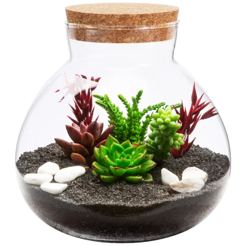 kf-S3dcc79aa06d148a9b37fa9993af0dc474-Micro-Landscape-Ecological-Bottle-Microlandscape-Plants-Light-Bulbs-Home-Empty-Glass-Moss-Planter-Terrarium כלי זכוכית צנצנת טרריום זכוכית בעיצוב נורה