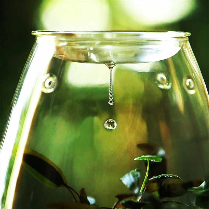 kf-S4797ef49687a46348f9c40e1647f7a22M-Micro-Landscape-Glass-Bottles-With-Cover-Fresh-Green-Succulent-Moss-Bottle-Glass-Vase-Glass-Terrarium-Bonsai כלי זכוכית צנצנת טרריום זכוכית בעיצוב ללין